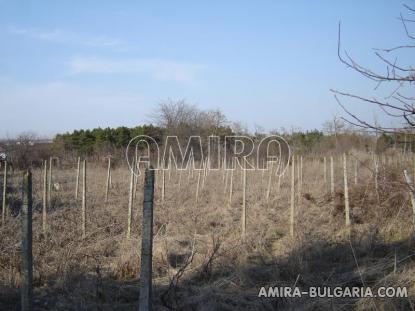 House in Bulgaria 9km from Balchik vineyards