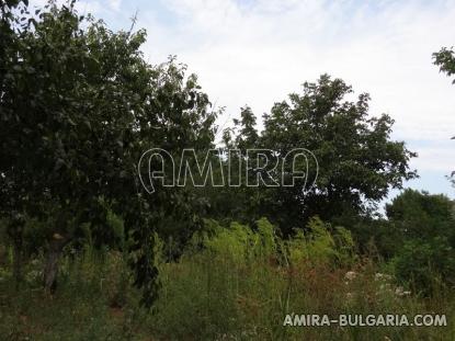 Renovated house in Bulgaria garden 2