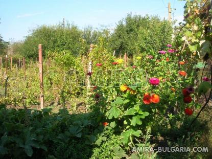 House in Bulgaria next to Dobrich garden 4