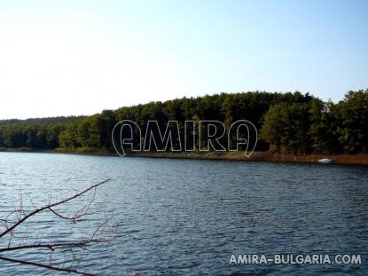 the lake 1