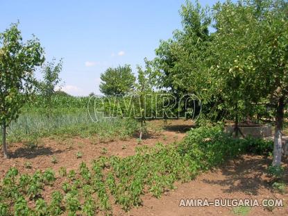 House 13 km from Dobrich, Bulgaria garden 3