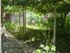 Cheap house in Bulgaria garden
