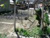 Old house 5 km from Kamchia beach garden