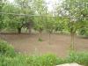House in Bulgaria near a lake garden 4