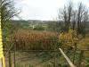 House in Bulgaria garden 2