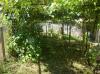 Cheap house in Bulgaria garden 5