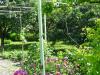 Furnished house near Albena, Bulgaria garden