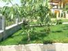 Sea view villa in Balchik garden 3