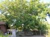 Sea view villa 600 m from the beach garden