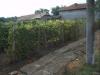 Bulgarian holiday home garden