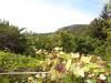House in Balchik near the Botanic Garden 9