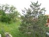Sea view house in Balchik view