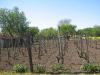 House in Bulgaria 18km from the beach garden 2
