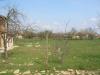 Renovated house in a big Bulgarian village garden 4