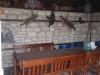 Authentic Bulgarian style house BBQ 1