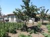 House in Bulgaria with big plot garden 2