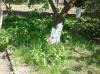House in Bulgaria 23km from the beach garden 2