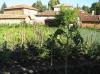 House in Bulgaria near a dam garden 2