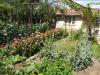 House in Bulgaria 18km from the beach 4