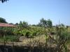 Bulgarian house 40km from the beach 7
