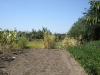 Bulgarian house 40km from the beach 8