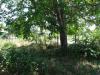 House in Bulgaria 39km from the sea 4