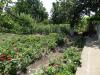 House in Bulgaria 26km from the beach 4