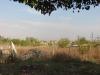 real view from the garden 1