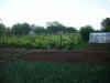 House in Bulgaria 22km from the beach 12