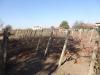 House with big plot 8km from the beach 7