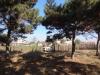 House with big plot 8km from the beach 9