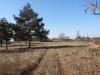 House with big plot 8km from the beach 11