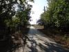 Bulgarian house 26km from the beach 10