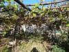 Bulgarian house 26km from the beach 12