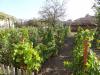 Massive Bulgarian house 26km from the beach 10