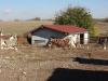 Two houses in Bulgaria near Dobrich 8