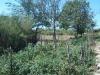 House in Bulgaria 10km from Dobrich 7