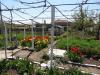Furnished town house in Bulgaria 3