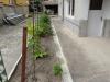 Furnished guest house in Kranevo 7