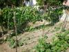 House in Kranevo 700 m from the beach 8