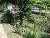 Cheap house with big plot 11