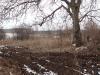 Holiday home in Bulgaria garden 3
