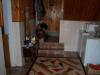 Furnished house in Byala near the beach 4