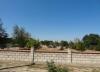 the village 6