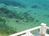 First line apartments near Varna 4