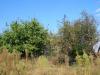 House in Bulgaria 43 km from the beach side 5