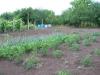 Furnished house 4 km from the beach garden 2