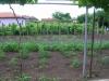 Furnished house 4 km from the beach garden