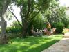 Furnished villa near the Botanic Garden garden